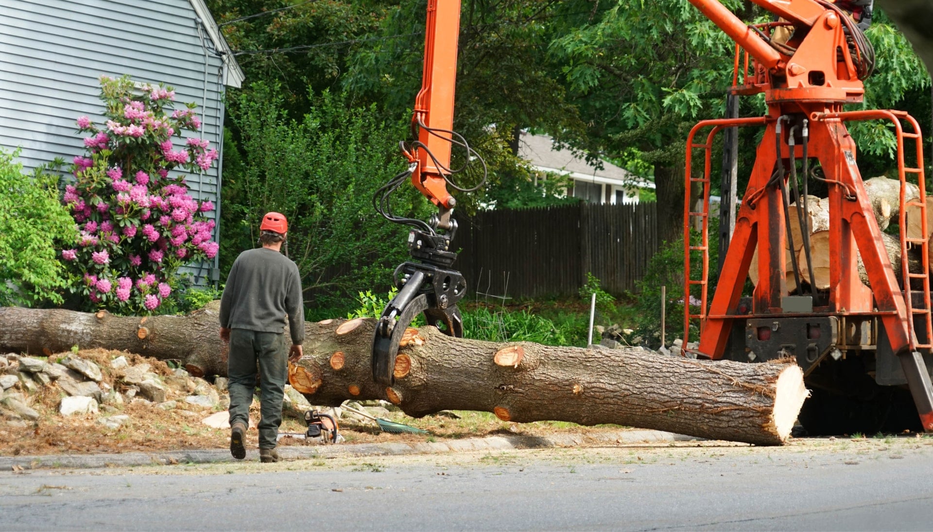 Local partner for Tree removal services in Pittsburgh