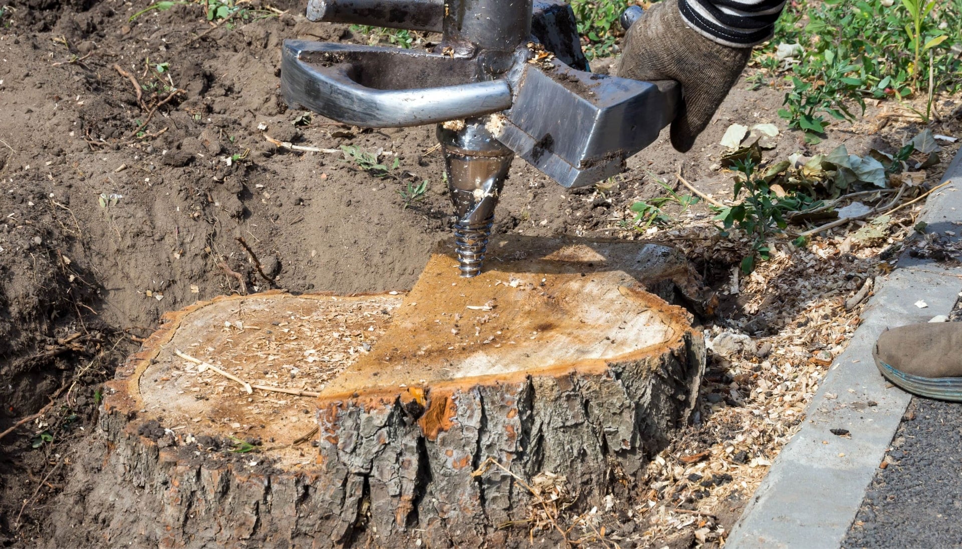 Pittsburgh Tree stump removal